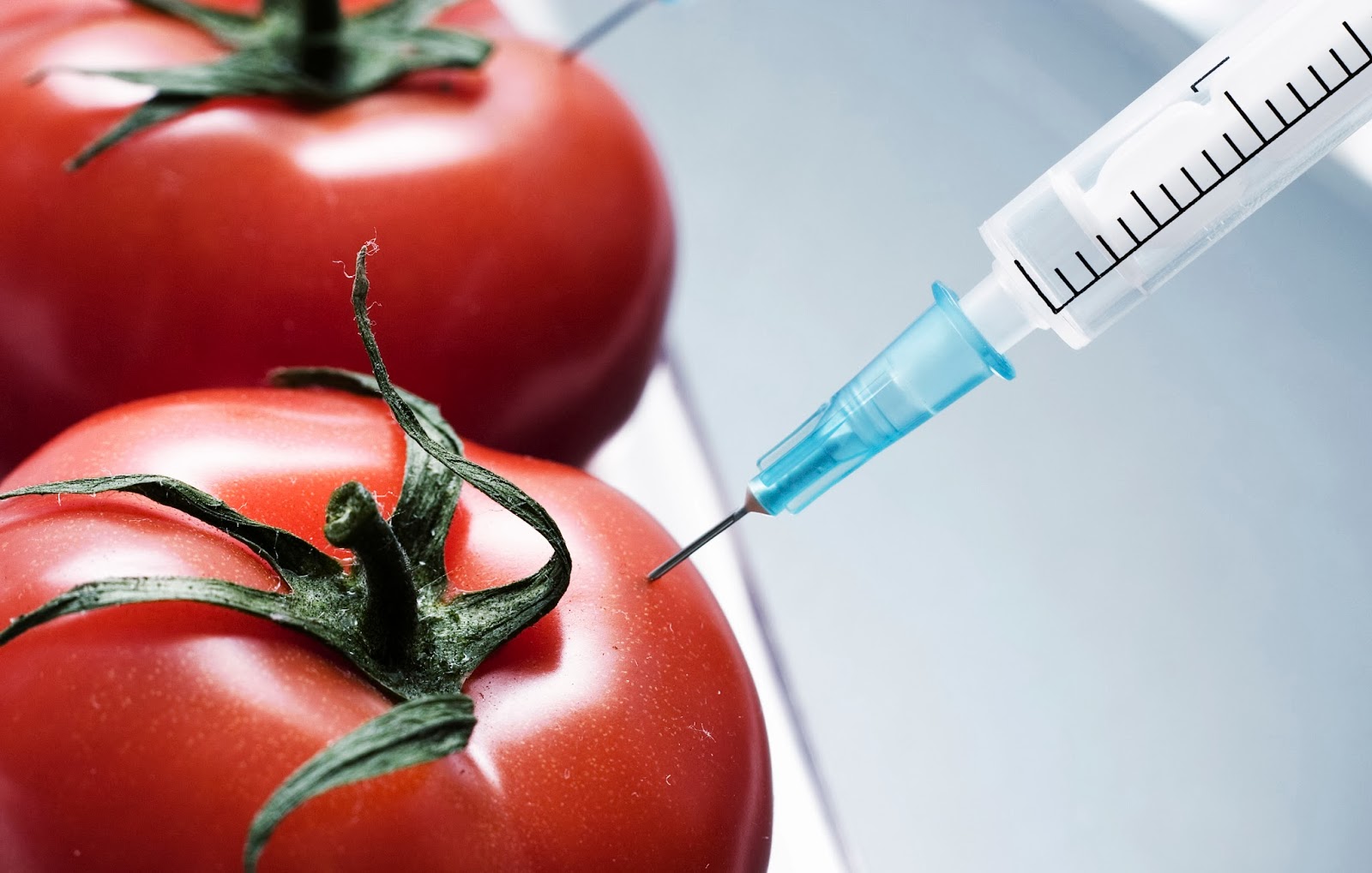 Эксперты отстаивают идею пользы ГМО-продуктов