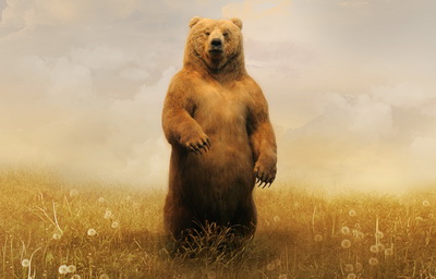 Сонник-к чему снится медведь