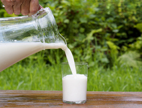 Козье молоко – профилактика заболеваний, прилив сил и жажда жизни