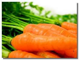 морковь, история моркови